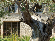 renovation-maison-piscine-eygalieres-maussane-13520