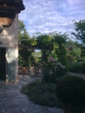 jardin-architecte-13210-renovation-saint-remy-de-provence